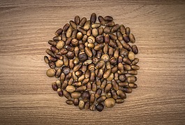 橡果,秋季,水果