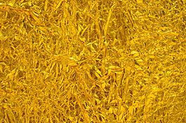 褶皱金色质感纹理图设计