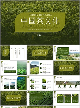 绿色茶园茶叶茶产品商业计划书PPT模板