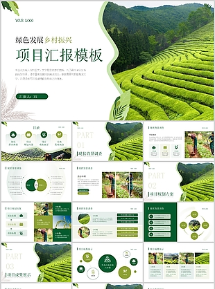 清新绿色发展乡村振兴项目汇报