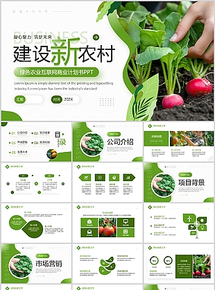 绿色杂志风农业互联网商业计划书