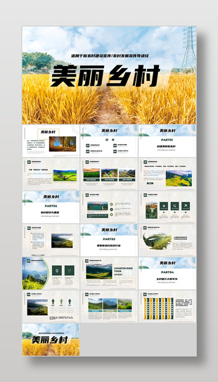 精美杂志风新农村建设宣传介绍