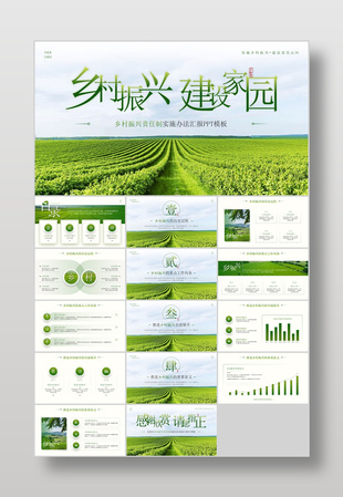 绿色小清新乡村振兴责任制实施汇报