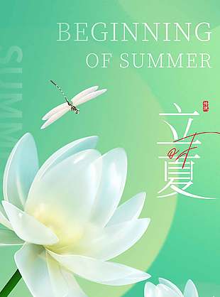 立夏节气清新荷花元素绿色海报设计