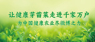 绿色清新农业芽苗菜公益banner