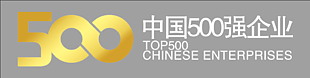 500强企业