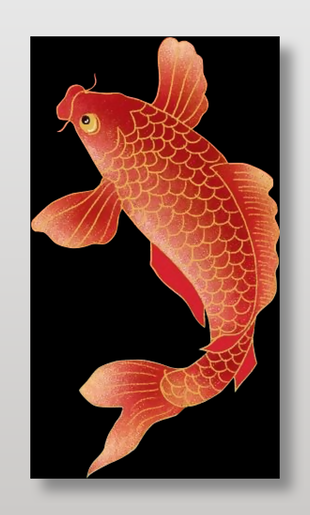 鲤鱼锦鲤图案